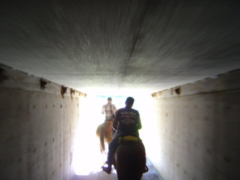 Trail Riding at Nickols Park Equestrian Riding Trails, Henryetta, OK